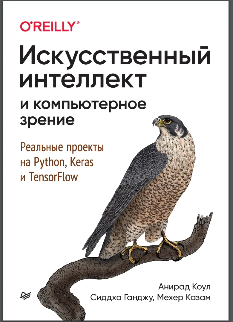 Искусственный интеллект и компьютерное зрение